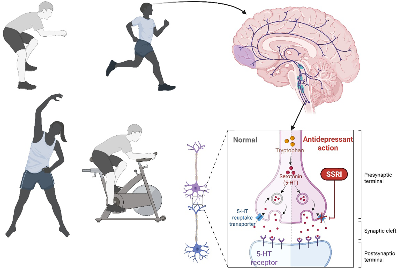 ifestyle to active lifestyle with improved mental wellbeing